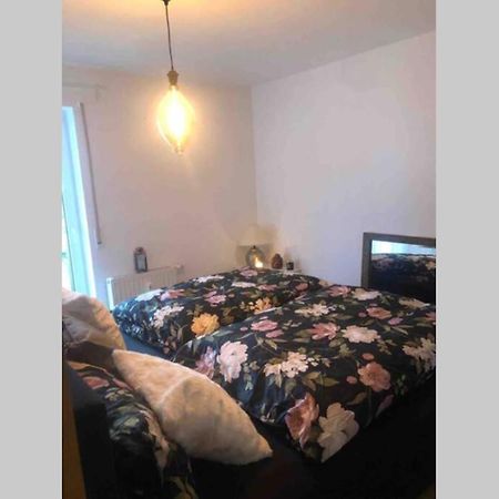 Sonnenoase Gufi Apartment Gundelfingen  Ngoại thất bức ảnh
