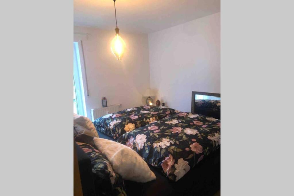 Sonnenoase Gufi Apartment Gundelfingen  Ngoại thất bức ảnh