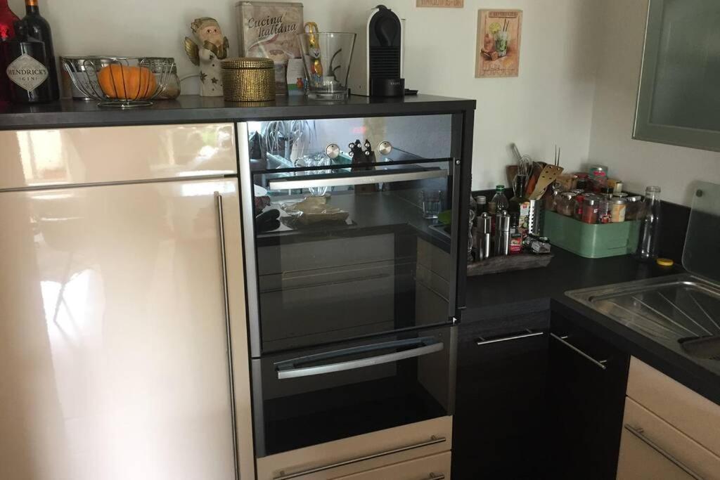 Sonnenoase Gufi Apartment Gundelfingen  Ngoại thất bức ảnh